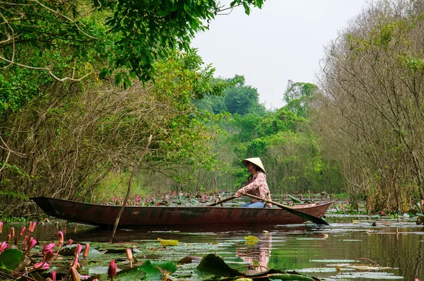 Barca a remi costume tradizionale nella foresta allagata il 29 novembre 2013 a Hanoi, VIETNAM . — Foto Stock