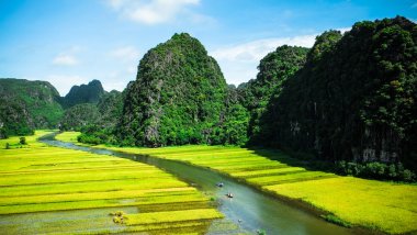 Pirinç tarlaları Vietnam Ngodong Nehri.