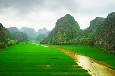 Pirinç tarlaları Vietnam Ngodong Nehri.