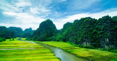 Pirinç tarlaları Vietnam Ngodong Nehri.