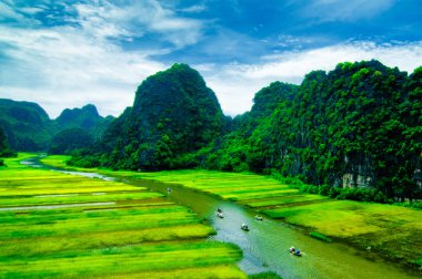 Pirinç tarlaları Vietnam Ngodong Nehri.