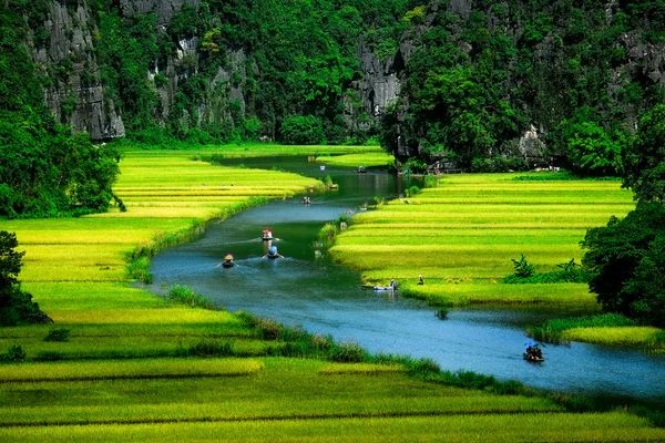 Río NgoDong a través de campos de arroz en Vietnam . —  Fotos de Stock