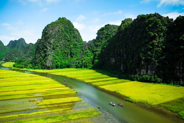 Ngodong Fluss durch Reisfelder in Vietnam. — Stockfoto