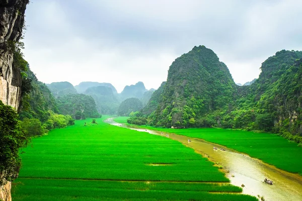 Ngodong Fluss durch Reisfelder in Vietnam. — Stockfoto