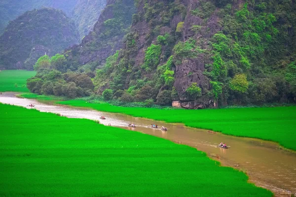 Río NgoDong a través de campos de arroz en Vietnam . —  Fotos de Stock