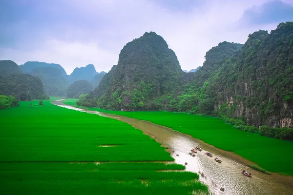 Pirinç tarlaları Vietnam Ngodong Nehri. — Stok fotoğraf