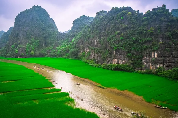 Rio NgoDong através de campos de arroz no Vietnã . — Fotografia de Stock