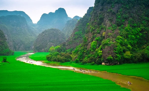 Ngodong rzeki przez pola ryżowe w Wietnamie. — Zdjęcie stockowe