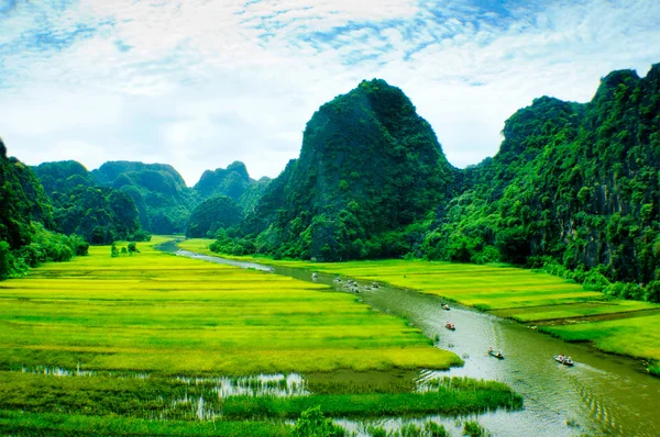 Río NgoDong a través de campos de arroz en Vietnam . —  Fotos de Stock