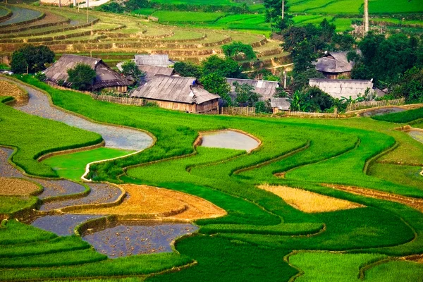 Rijstvelden op terrassen van Mu Cang Chai, Yenbai, Vietnam. — Stockfoto