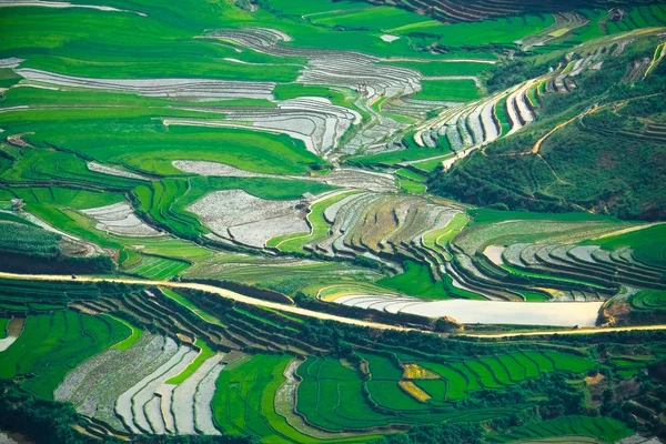 Rijstvelden op terrassen van Mu Cang Chai, Yenbai, Vietnam. — Stockfoto