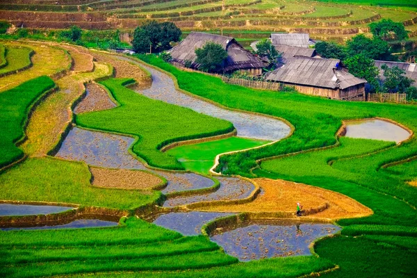 Campos de arroz en terrazas de Mu Cang Chai, YenBai, Vietnam . —  Fotos de Stock