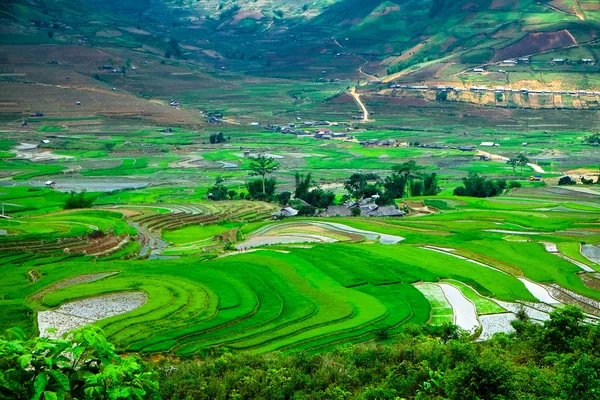 Campos de arroz en terrazas de Mu Cang Chai, YenBai, Vietnam . —  Fotos de Stock