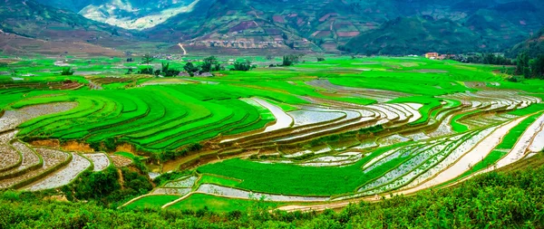 Reisfelder auf Terrassen von Mu Cang Chai, Yenbai, Vietnam. Reisfelder bereiten die Ernte im Nordwesten Vietnams vor. — Stockfoto