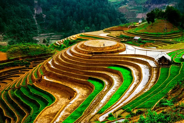 Campos de arroz em terraços de Mu Cang Chai, YenBai, Vietnã. Campos de arroz preparam a colheita no noroeste do Vietnã . — Fotografia de Stock