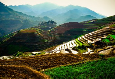 Pirinç tarlaları üzerinde Mu Cang Chai, Yenbai, Vietnam Teras. Kuzey Vietnam, hasat pirinç tarlaları hazırlamak.