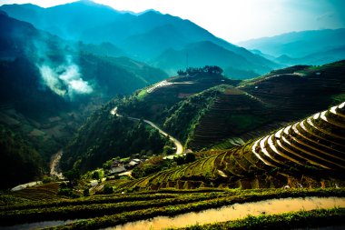 Pirinç tarlaları üzerinde Mu Cang Chai, Yenbai, Vietnam Teras. Kuzey Vietnam, hasat pirinç tarlaları hazırlamak.