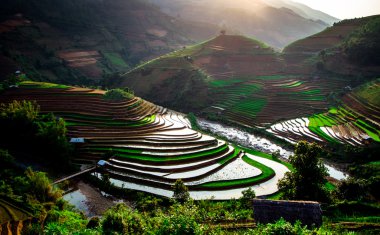 Pirinç tarlaları üzerinde Mu Cang Chai, Yenbai, Vietnam Teras. Kuzey Vietnam, hasat pirinç tarlaları hazırlamak.