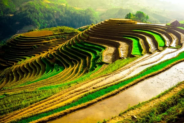 Campos de arroz en terrazas de Mu Cang Chai, YenBai, Vietnam. Los campos de arroz preparan la cosecha en el noroeste de Vietnam . — Foto de Stock