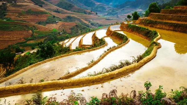 田んぼには、Mu 倉チャイ、Yenbai、ベトナムの棚田。田んぼの準備ベトナム北西部で収穫. — ストック写真