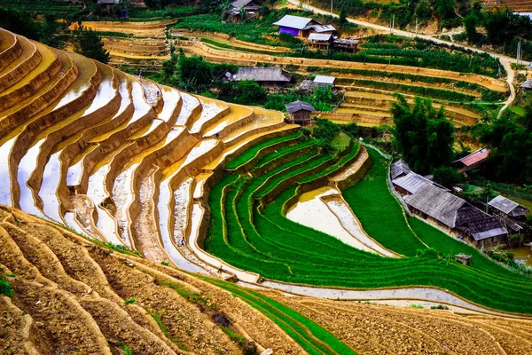 A rizsföldek teraszos a Mu Cang Chai, Yenbai, Vietnam. Rizs mezők készítse elő a betakarítás északnyugati Vietnam. — Stock Fotó