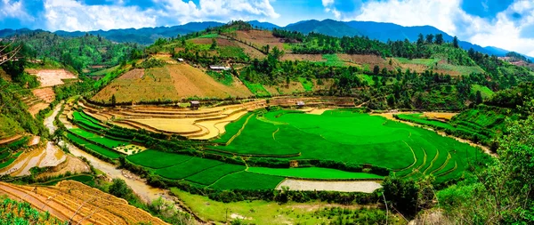 Campos de arroz em terraços de Mu Cang Chai, YenBai, Vietnã. Campos de arroz preparam a colheita no noroeste do Vietnã . — Fotografia de Stock