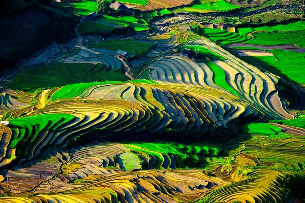 Rice fields on terraced of Mu Cang Chai, YenBai, Vietnam. Rice fields prepare the harvest at Northwest Vietnam. — Stock Photo, Image