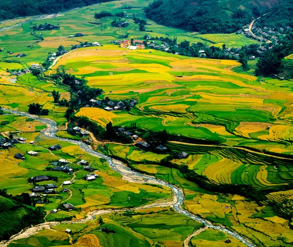 Campos de arroz en terrazas de Mu Cang Chai, YenBai, Vietnam. Los campos de arroz preparan la cosecha en el noroeste de Vietnam . —  Fotos de Stock