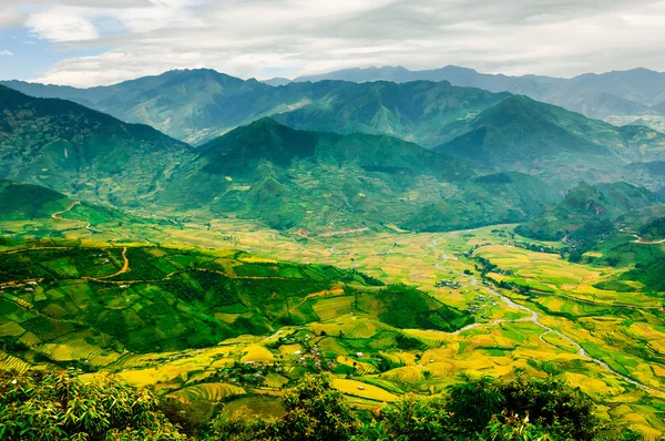 Campos de arroz em terraços de Mu Cang Chai, YenBai, Vietnã. Campos de arroz preparam a colheita no noroeste do Vietnã . — Fotografia de Stock