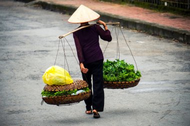 Vietnam çiçekçi satıcı sokakta hanoi, Vietnam. Bu satıcılar Hanoi, vietnam için küçük Pazar olduğunu.