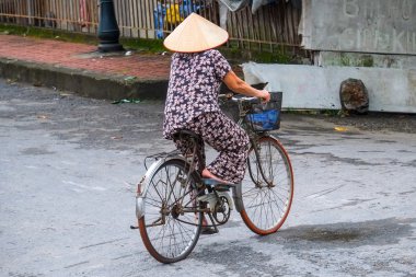 Vietnam çiçekçi satıcı sokakta hanoi, Vietnam. Bu satıcılar Hanoi, vietnam için küçük Pazar olduğunu.