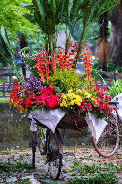 Vietnam çiçekçi satıcı sokakta hanoi, Vietnam. Bu satıcılar Hanoi, vietnam için küçük Pazar olduğunu.