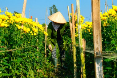 Vietnam çiçekçi satıcı sokakta hanoi, Vietnam. Bu satıcılar Hanoi, vietnam için küçük Pazar olduğunu.