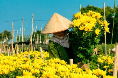 Vietnam çiçekçi satıcı sokakta hanoi, Vietnam. Bu satıcılar Hanoi, vietnam için küçük Pazar olduğunu.