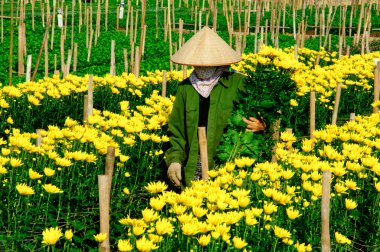 Vietnam çiçekçi satıcı sokakta hanoi, Vietnam. Bu satıcılar Hanoi, vietnam için küçük Pazar olduğunu.
