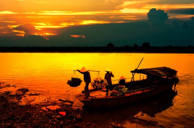 Vietnam çiçekçi satıcı sokakta hanoi, Vietnam. Bu satıcılar Hanoi, vietnam için küçük Pazar olduğunu.