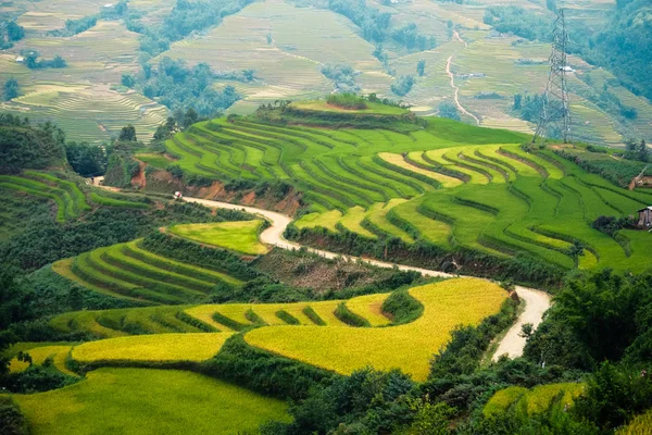 Campos de arroz em terraços de LaoCai, Vietnã . — Fotografia de Stock