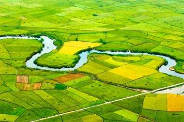 Langson, Vietnam için pirinç tarlaları.