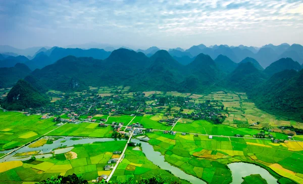 Rýžová pole v Langson, Vietnam. — Stock fotografie