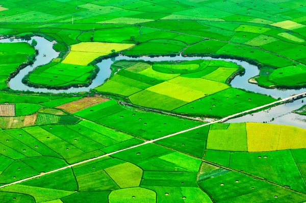Risfälten i Langson, Vietnam. — Stockfoto