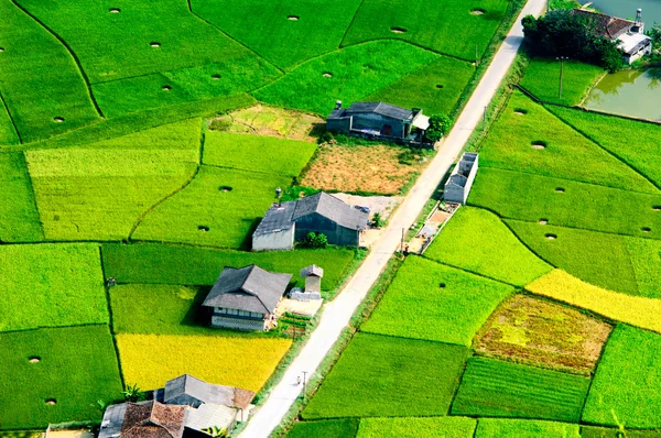 Risfälten i Langson, Vietnam. — Stockfoto