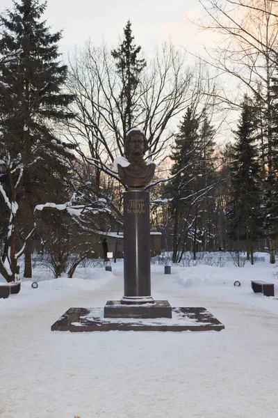 Büyük Peter Anıtı, Saint-Petersburg, Rusya