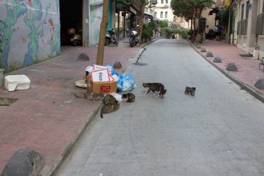 Sokak manzarası, İstanbul, Türkiye