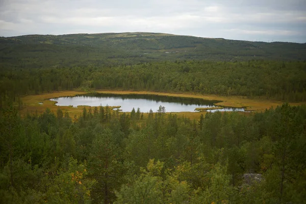 Bosque Del Norte Hermosa Naturaleza — Foto de Stock