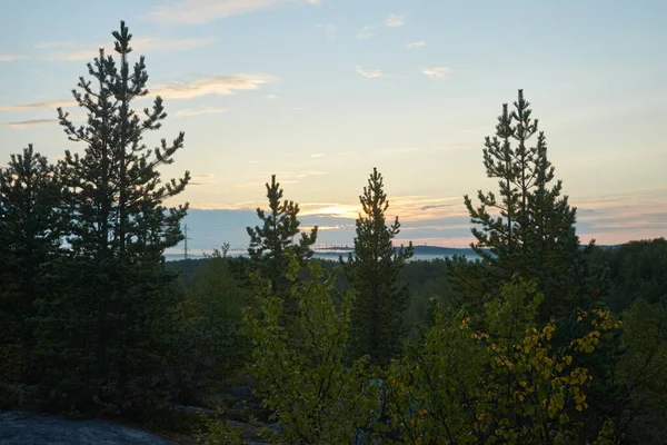 Северный Лес Красивая Природа — стоковое фото
