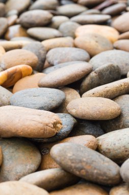 Grup çakıl daire şekli yaz kavramı