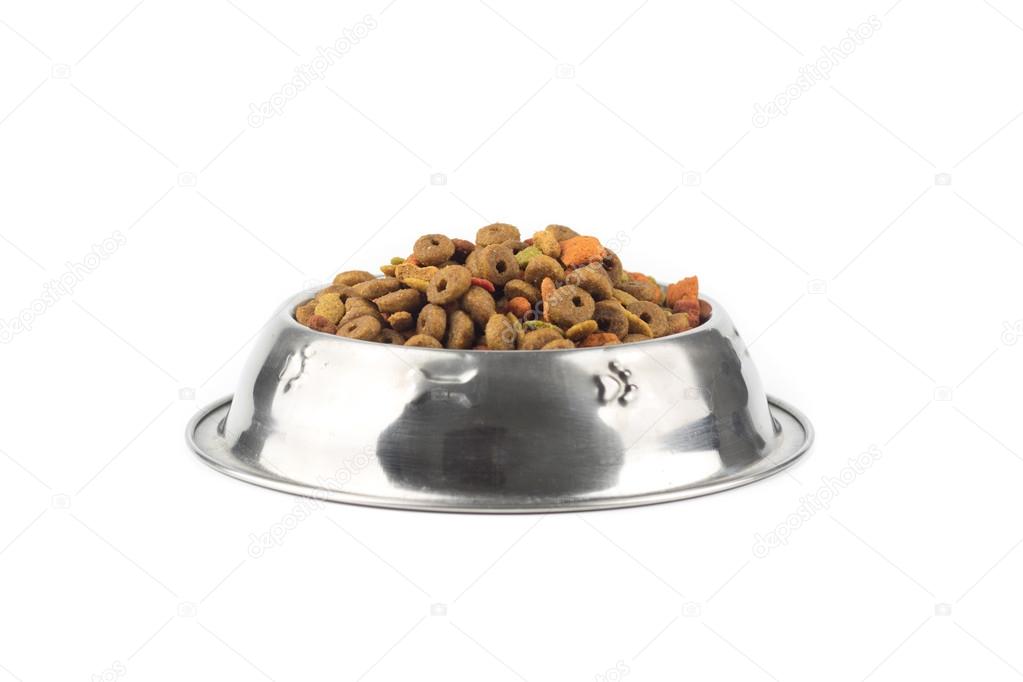 cat food in iron bowl