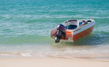 Hindistan cevizi ağacı plajda, yaz tatil kavramı