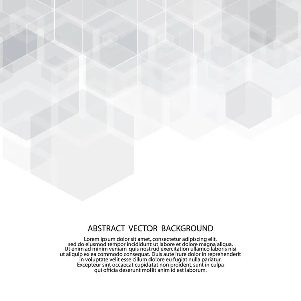 Gray Hexagon Pattern Beautiful Layout Presentation Polygonal Style — Stock Vector