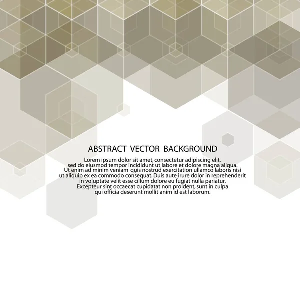 Hexágono Cinza Abstrato Layout Para Publicidade — Vetor de Stock